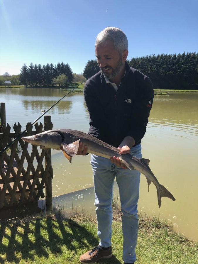Chalet La Perche Au Bord De L'Eau Lion-en-Sullias Dış mekan fotoğraf
