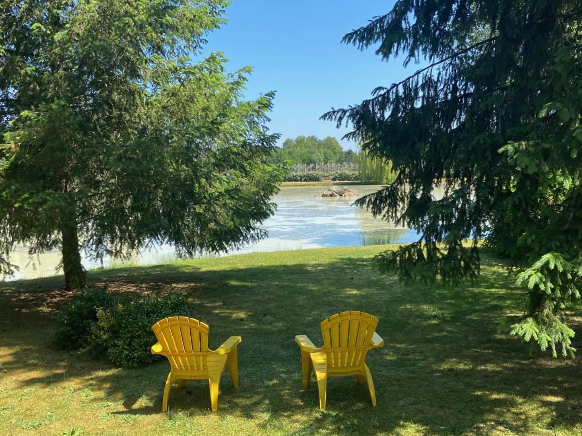Chalet La Perche Au Bord De L'Eau Lion-en-Sullias Dış mekan fotoğraf
